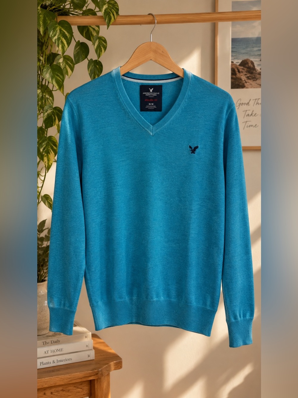 American Eagle Outfitters Teal Blue V-Neck Sweater - Men's